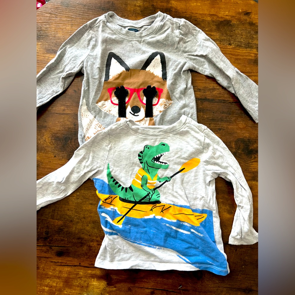 Set of 3 Toddler Boy Longsleeve Shirts